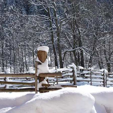 Apartment Neustockach Gerlos